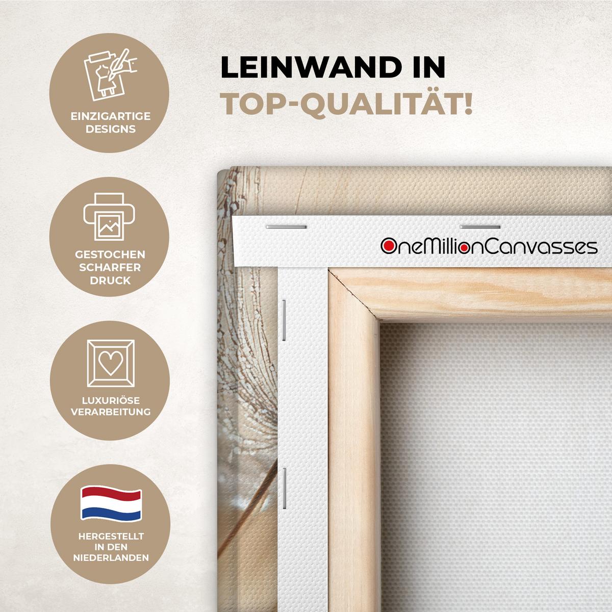 LEINWANDBILD Löwenzahn - Abstrakt - Natur - Beige Deko Wohnzimmer 20x30 cm - Braun, Textil (20/30cm) - MuchoWow
