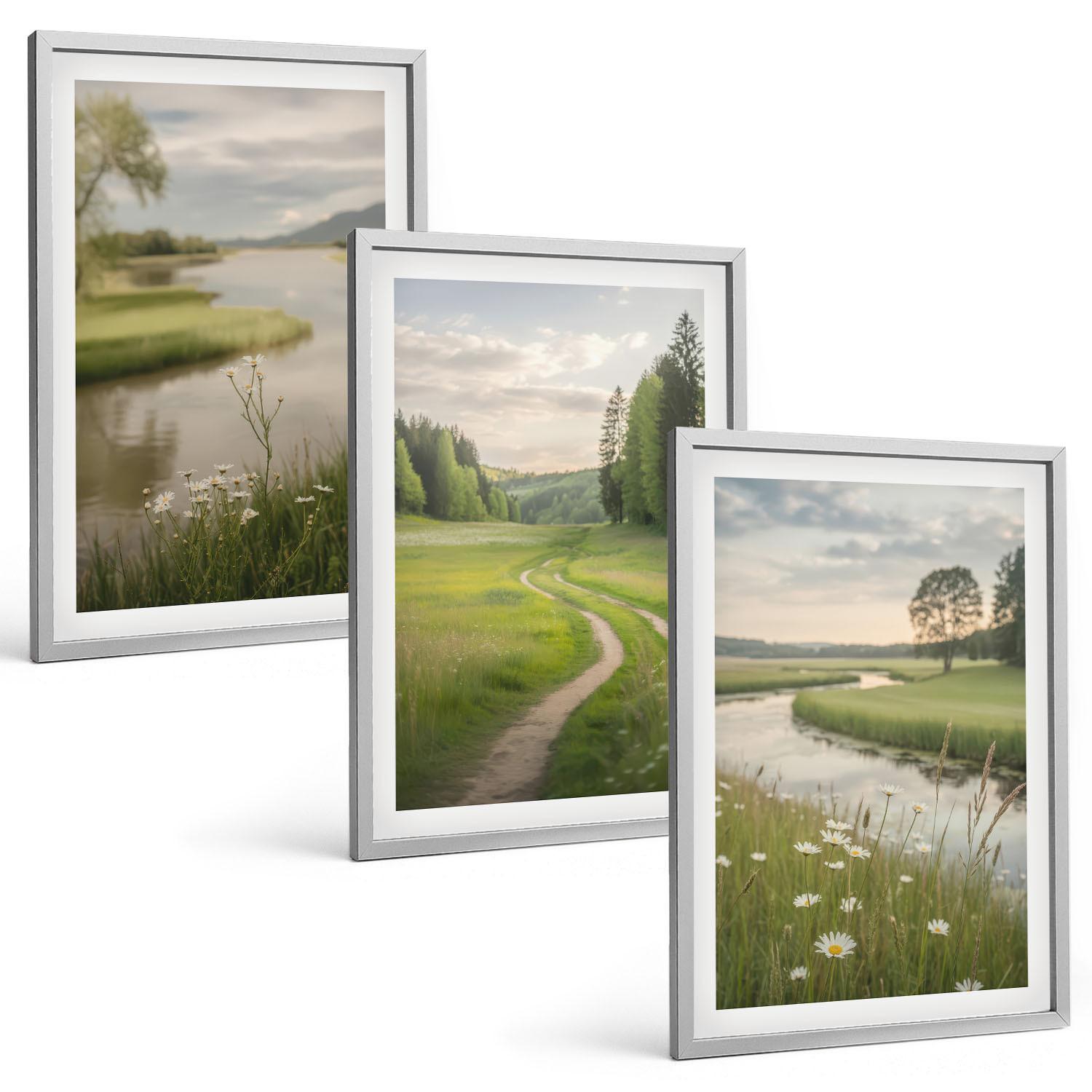 BILDER SET 3er Set - 40x60 cm Silberner Rahmen - Sommerliche Flusswiesen voller Blumen - Silberfarben, Kunststoff (40/60cm) - TULUP