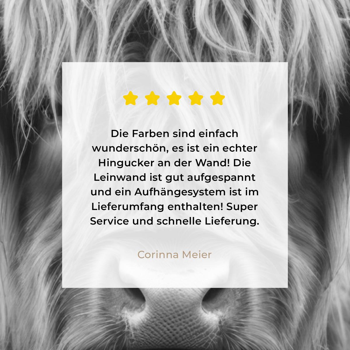 LEINWANDBILD Schottischer Highlander - Nebel - Schwarz - Weiß Deko XXL 80x120 cm - Grau, Textil (80/120cm) - MuchoWow