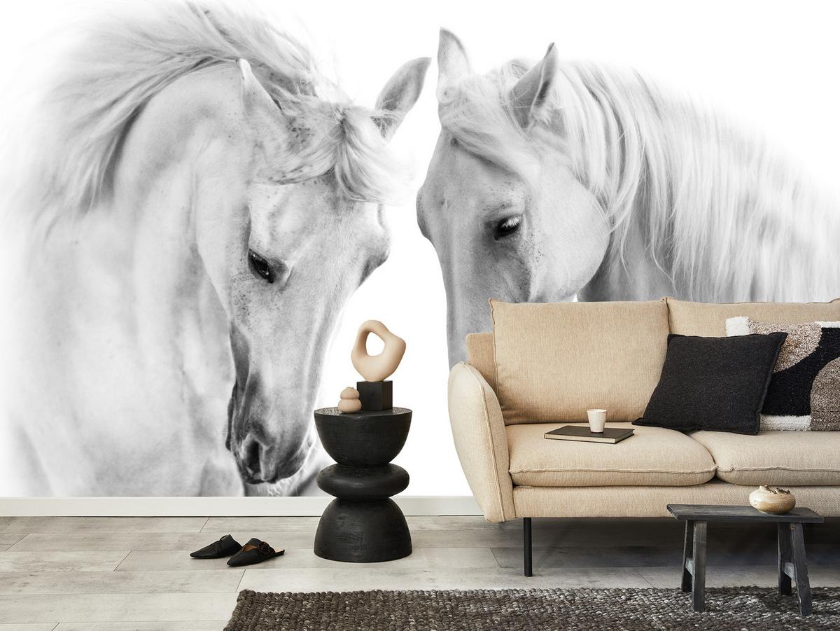FOTOTAPETE für Schlafzimmer Weiße Pferde Grauer Hintergrund Eleganz Tierwelt 350x256 - Weiß/Grau, Papier (350/256cm) - Muralo