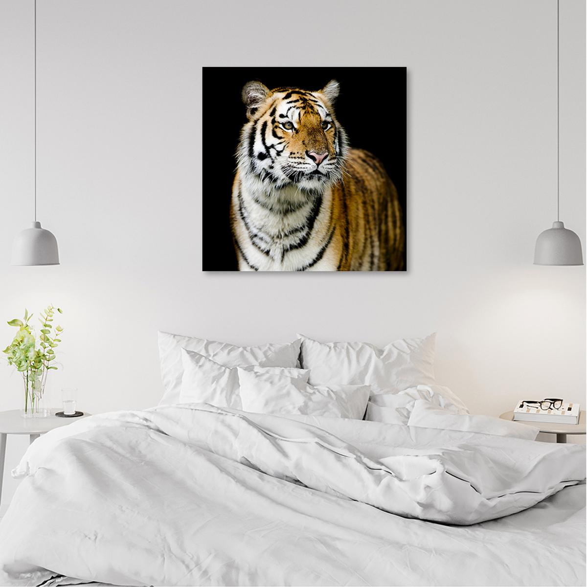 WANDBILD tiger wildtiere natur - Orange, Textil (30/30cm) - Feeby