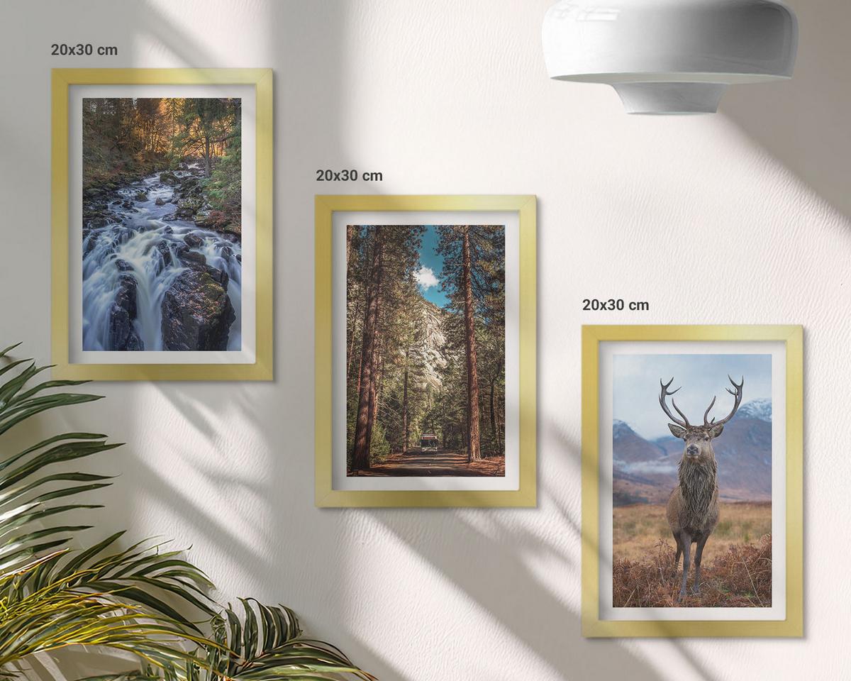 BILDER SET 3er Set - 20x30 cm Goldrahmen - Wasserfall Wald Berge Hirsch Natur - Goldfarben, Kunststoff (20/30cm) - TULUP