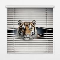 INNENROLLO - Fensterrollo - Rollo - 100x100 cm - Tiger - Grau, Kunststoff (100/100/0.5cm) - TULUP