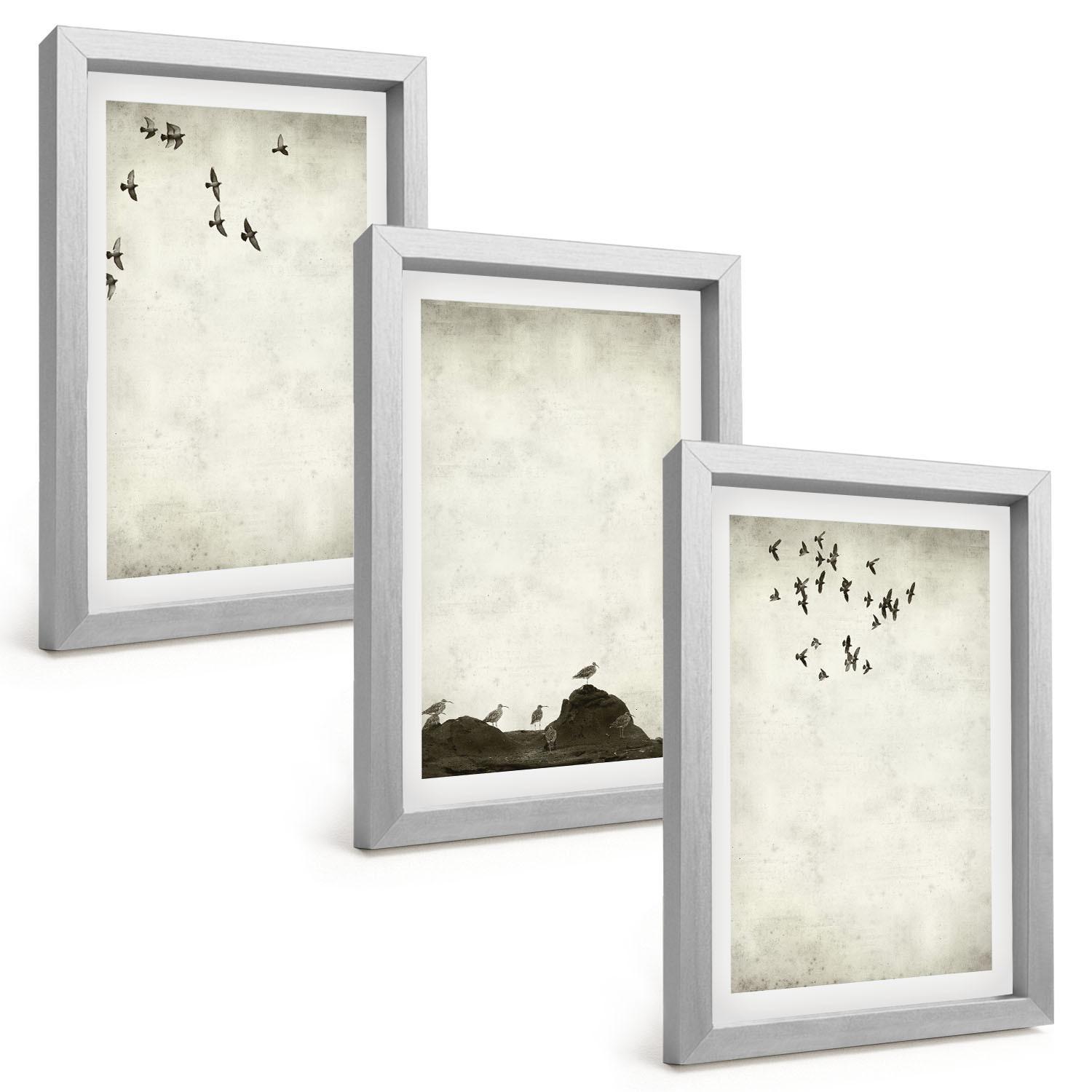 BILDER SET 3er Set - 20x30 cm Silberner Rahmen - Fliegende Vögel Minimalismus - Silberfarben, Kunststoff (20/30cm) - TULUP
