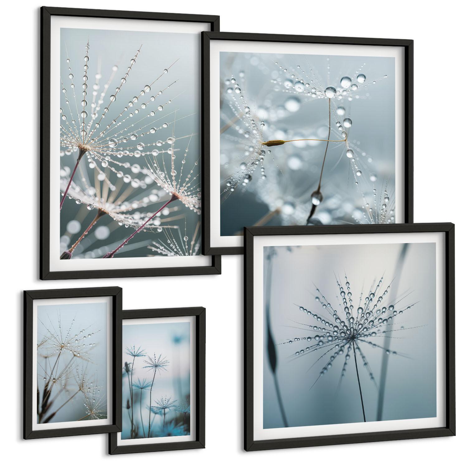 BILDER SET 5er Set - 50x50 cm & 20x30 cm & 40x60 cm Schwarzer Rahmen - Tautropfen auf Löwenzahn - Schwarz, Kunststoff (40/60cm) - TULUP