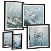BILDER SET 5er Set - 50x50 cm & 20x30 cm & 40x60 cm Schwarzer Rahmen - Tautropfen auf Löwenzahn - Schwarz, Kunststoff (40/60cm) - TULUP