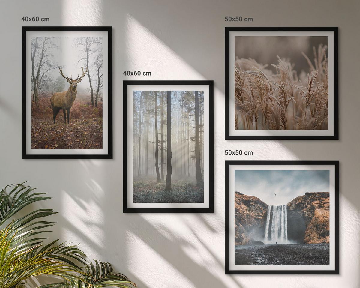 BILDER SET 4er Set - 50x50 cm & 40x60 cm Schwarzer Rahmen - Waldlandschaften der Wildnis - Schwarz, Kunststoff (50/50cm) - TULUP
