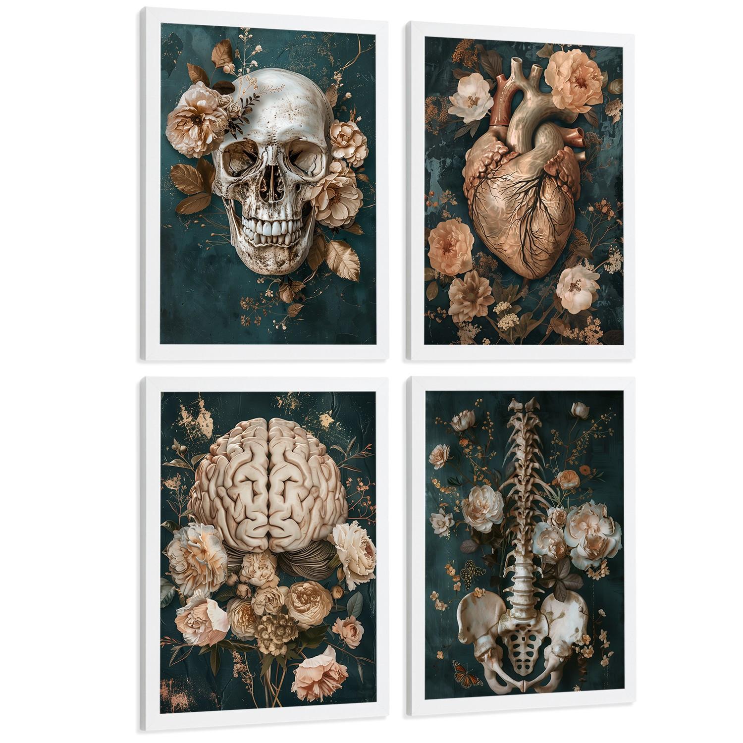 POSTER Set aus 4 Anatomie Drucke und Wandbilder mit Schädel Herz Gehirn Wirbelsäule Skelett Becken Klassisches Florales Design Größe Weißer Rahmen A4 - Weiß, Papier (21/29.7/3cm) - Nacnic