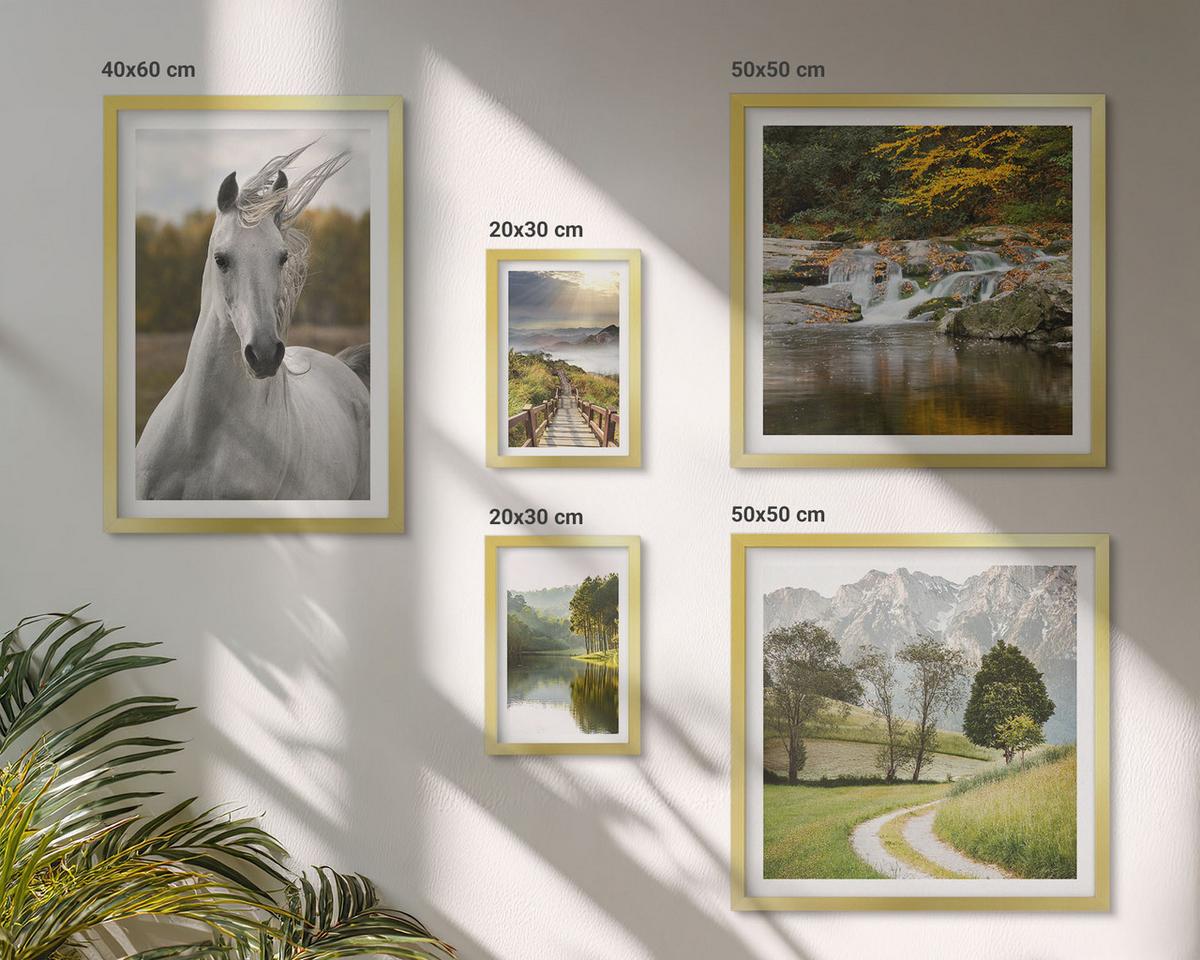 BILDER SET 5er Set - 50x50 cm & 20x30 cm & 40x60 cm Goldrahmen - Natur des Flusses White Horses - Goldfarben, Kunststoff (40/60cm) - TULUP