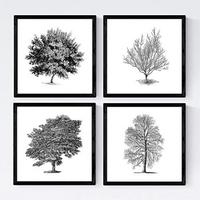 POSTER Set mit 4 Blättern der Caduda Bäume und immergrüne weiß 20x20cm Rahmenlos - Klar, Papier (20/3cm) - Nacnic