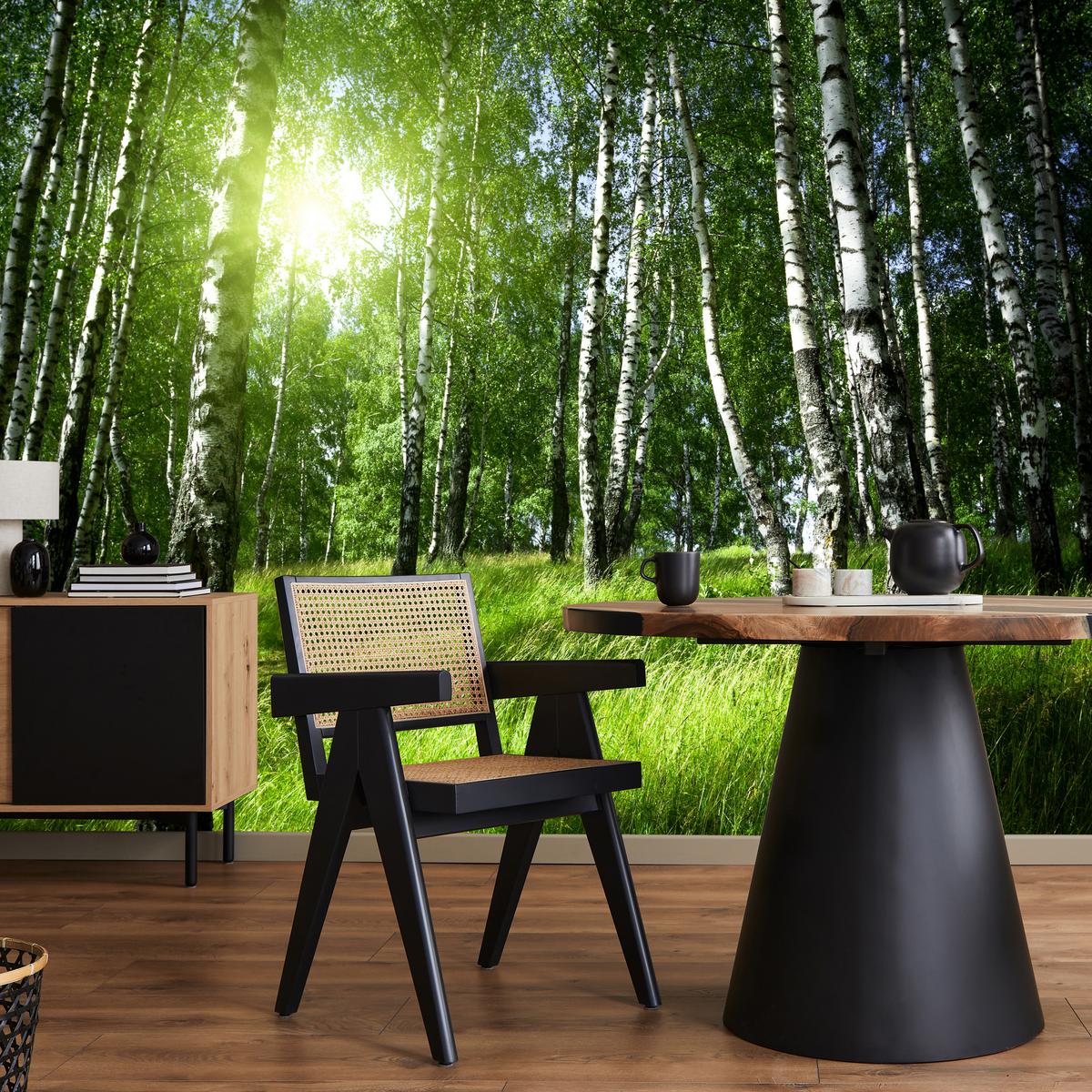 FOTOTAPETE für Wohnzimmer Grüner Birkenwald Gras Sonne Natur 400x280 - Schwarz/Weiß, Papier (400/280cm) - Muralo