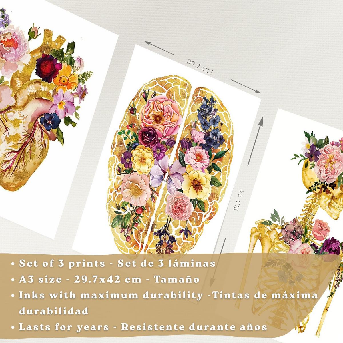 POSTER Set aus 3 Anatomie Mensch Drucke und Wandbilder mit Herz Gehirn und Skelett Goldenes Florales Design Größe Leichter Holzrahmen A3 - Beige, Papier (29.7/42/3cm) - Nacnic