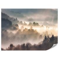 FOTOTAPETE für Wohnzimmer Natur Nebeliger Wald Sonnenaufgang Gebirge 100x70 - Gelb/Creme, Papier (100/70cm) - Muralo