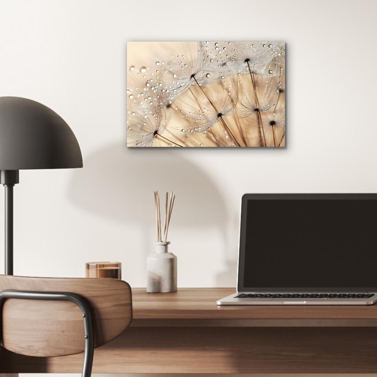 METALLBILD Löwenzahn - Abstrakt - Natur - Beige 30x20 cm - Braun, Metall (30/20cm) - MuchoWow