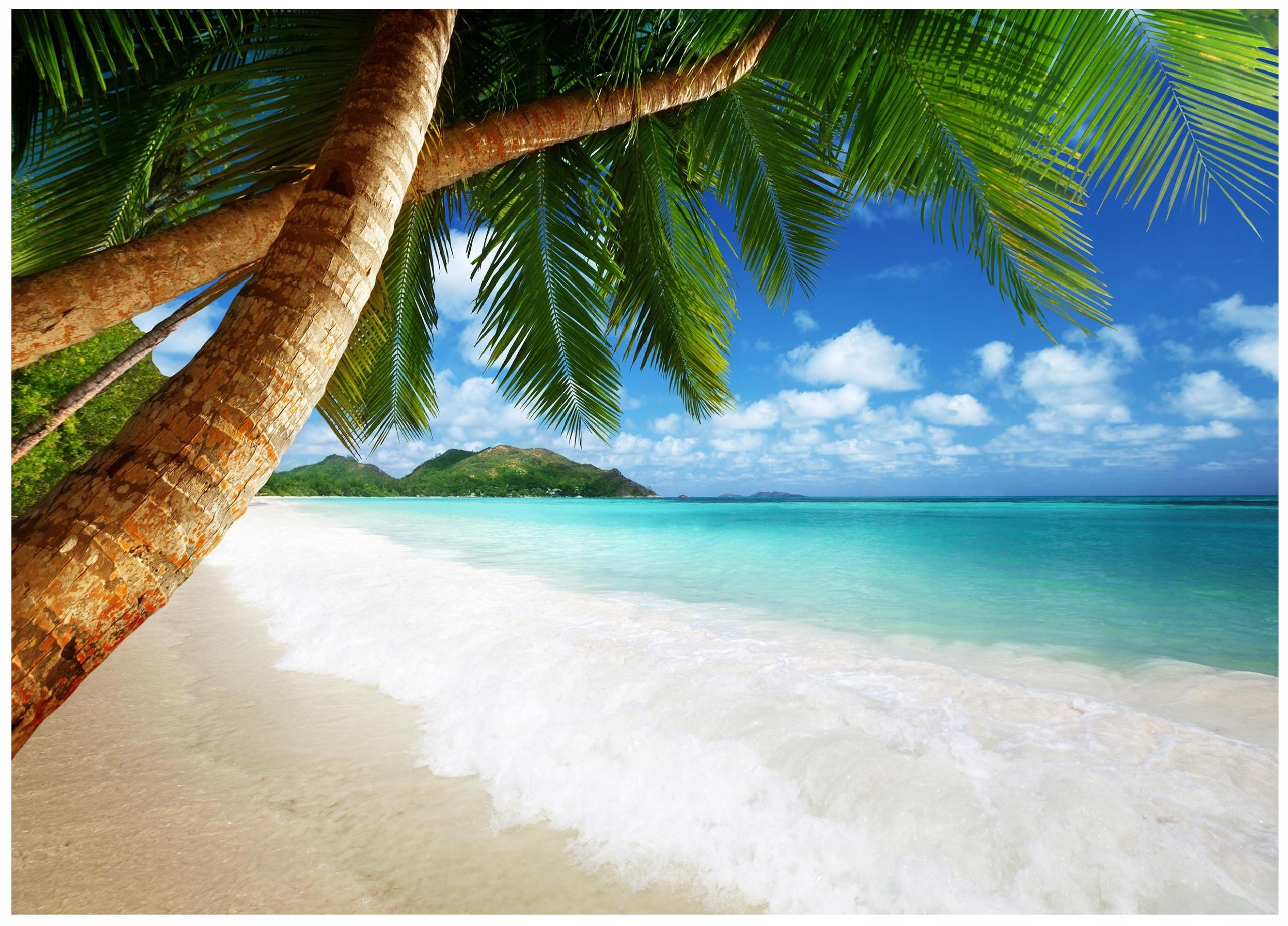 FOTOTAPETE Strand Meer 300x210 - Multicolor, Papier (300/210cm) - Wallarena