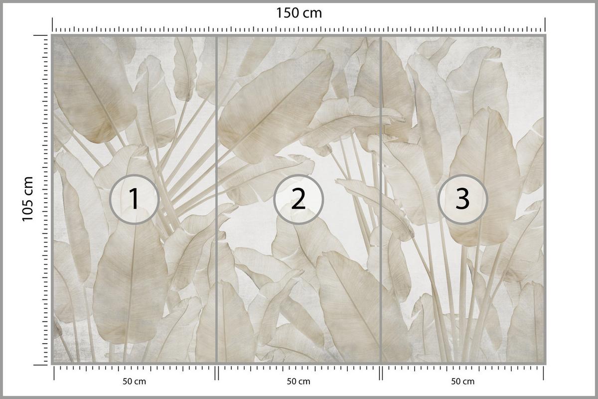 FOTOTAPETE Beige Bananenblätter Tropische Pflanzen 150x105 - Beige/Braun, Papier (150/105cm) - Muralo