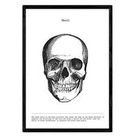 POSTER Anatomie Schädel A4 Schwarzer Rahmen - Schwarz, Papier (29.7/5/21cm) - Nacnic