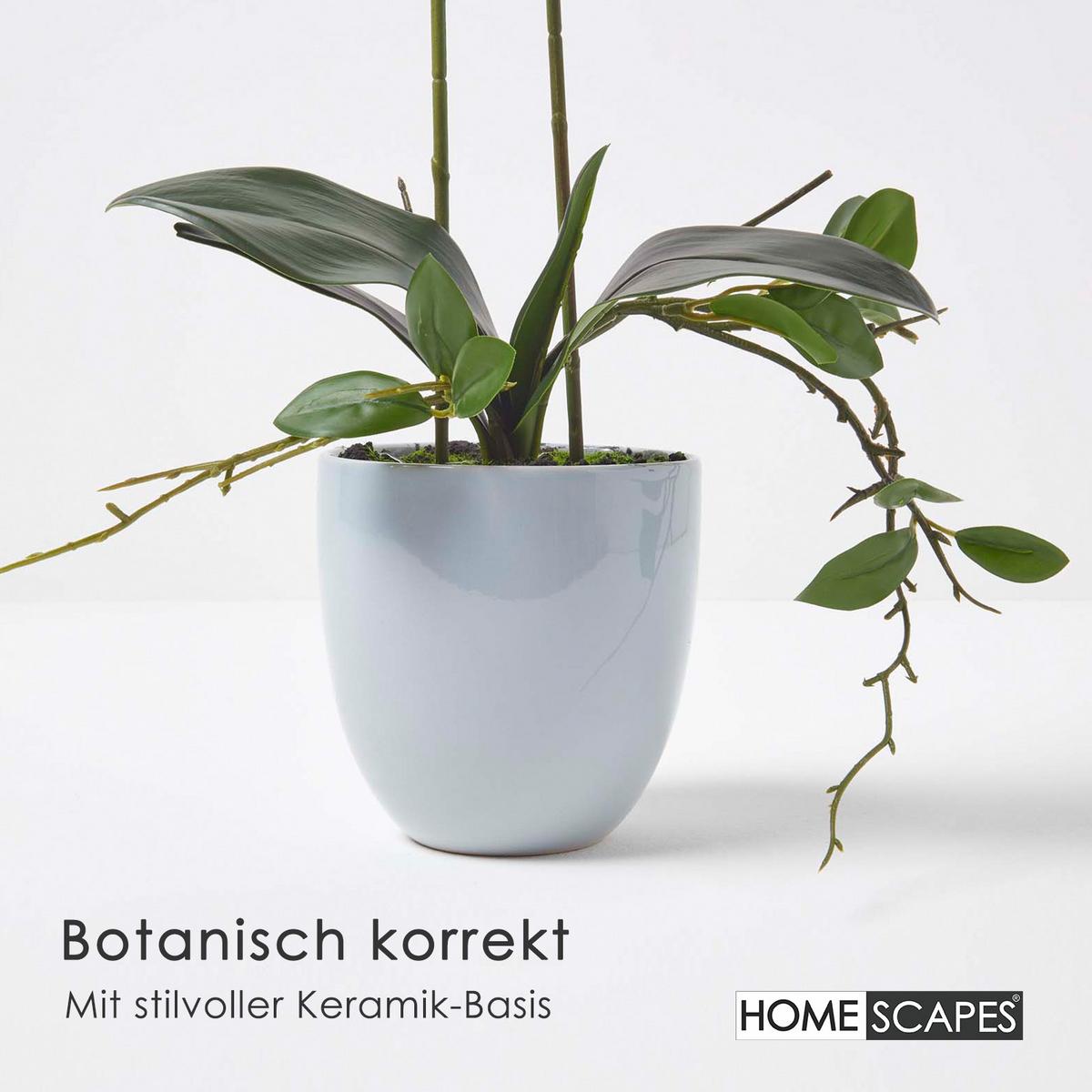 KUNSTBLUME Orchidee rosa im Deko-Topf, 54 cm - Rosa, Kunststoff (54cm) - Homescapes