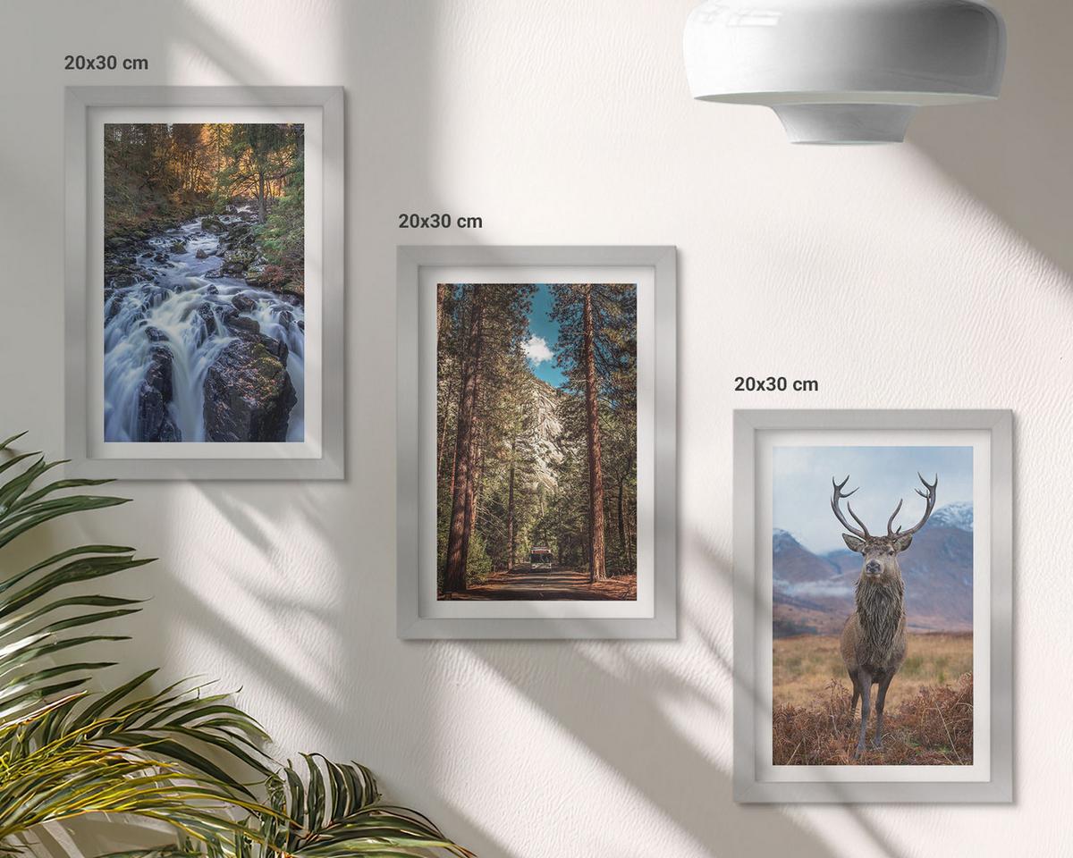 BILDER SET 3er Set - 20x30 cm Silberner Rahmen - Wasserfall Wald Berge Hirsch Natur - Silberfarben, Kunststoff (20/30cm) - TULUP
