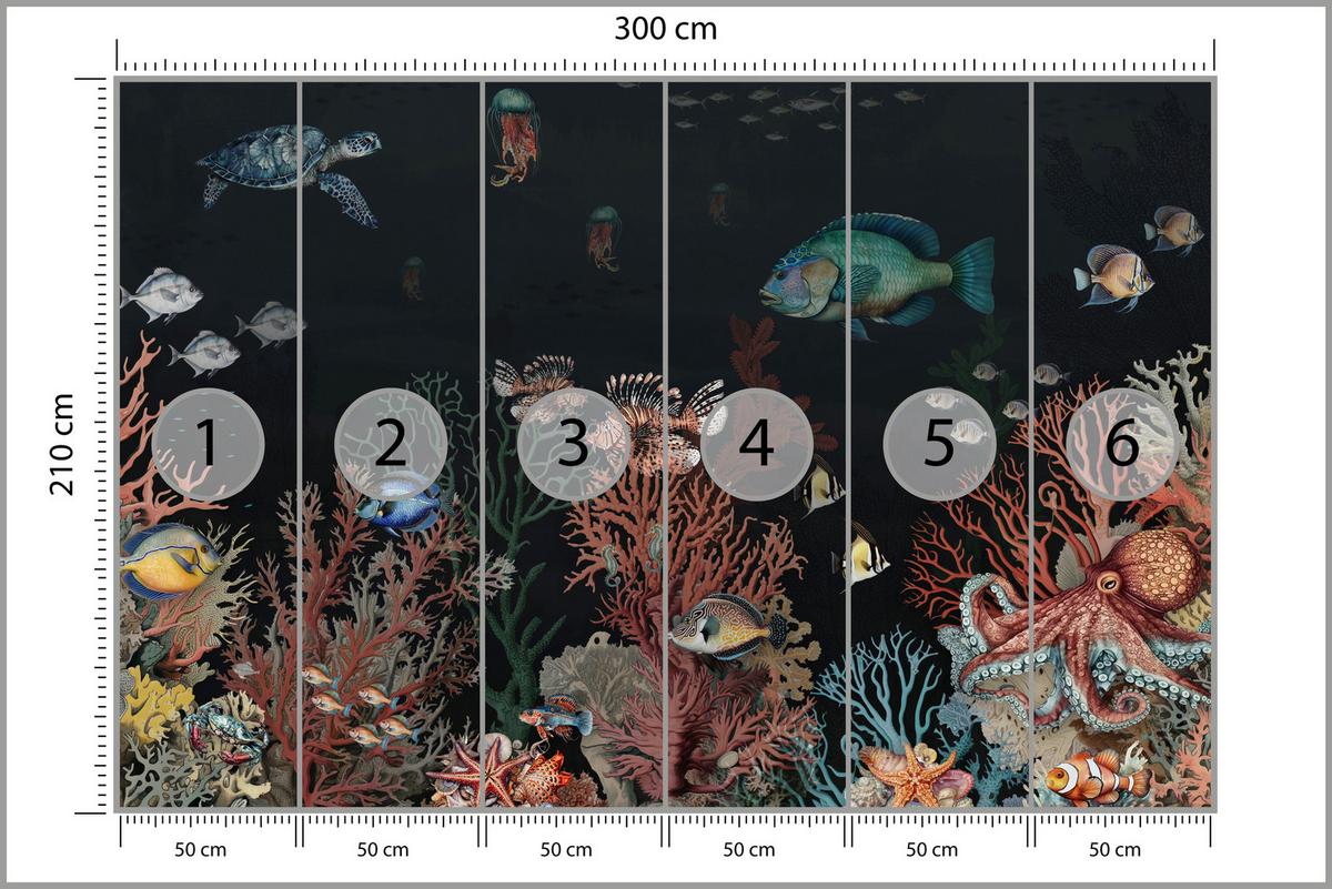 FOTOTAPETE für Badezimmer Bunter Unterwasser Pflanzen Riff Fische 300x210 - Rot/Schwarz, Papier (300/210cm) - Muralo