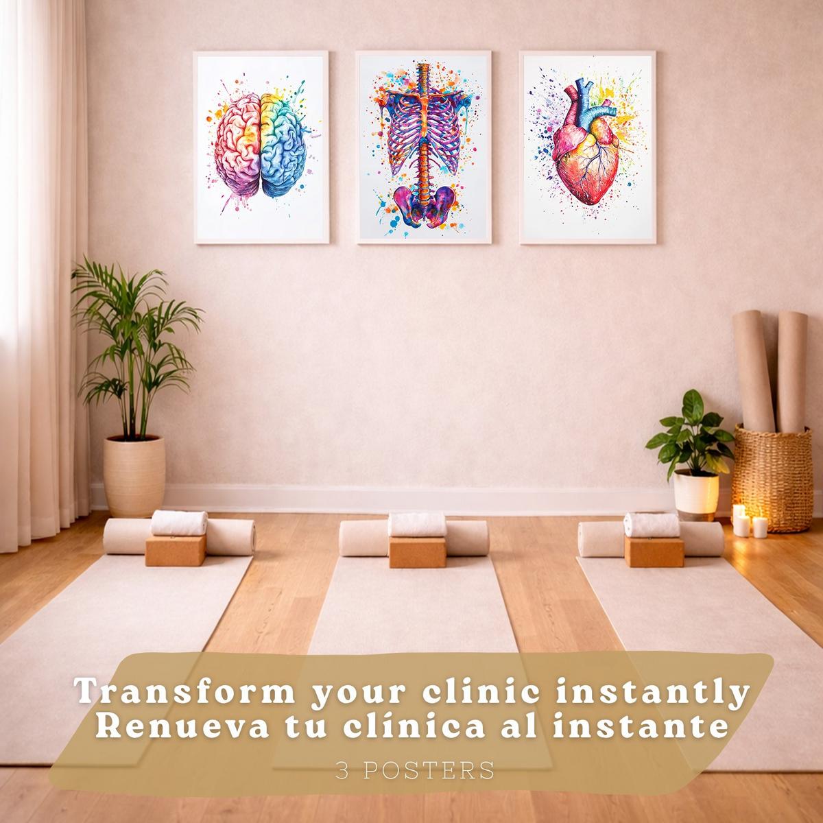 POSTER Set aus 3 Anatomie Mensch Drucke und Wandbilder mit Gehirn Herz Rippen Wirbelsäule Lebendiges Aquarell Design Größe Weißer Rahmen A4 - Weiß, Papier (21/29.7/3cm) - Nacnic