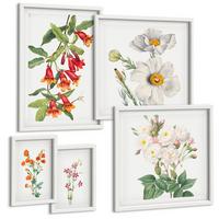 BILDER SET 5er Set - 50x50 cm & 20x30 cm & 40x60 cm Weißer Rahmen - Blumenmalerei im Retro-Stil - Weiß, Kunststoff (40/60cm) - TULUP