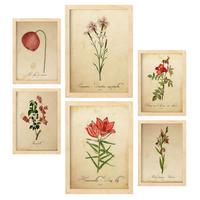 POSTER Set Mit 6 Rote Blumen Vollfarbige Natur Und Botanikdrucke Mit Blumenmotiven Im Vintage Papier Stil A3 & A4 Rahmen Aus Hellem Holz - Beige, Papier (29/3cm) - Nacnic
