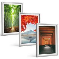 BILDER SET 3er Set - 40x60 cm Silberner Rahmen - Fuji-Bambuswaldlandschaft - Silberfarben, Kunststoff (40/60cm) - TULUP