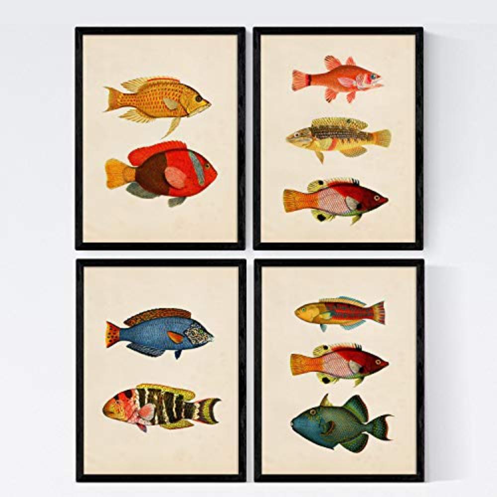 POSTER Set mit 4 Malediven 10 verschiedenen Fischen A3 Schwarzer Rahmen - Schwarz, Papier (29.7/3cm) - Nacnic