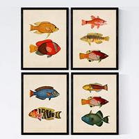 POSTER Set mit 4 Malediven 10 verschiedenen Fischen A3 Schwarzer Rahmen - Schwarz, Papier (29.7/3cm) - Nacnic