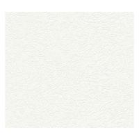 VLIESTAPETE Weiß 53/1005 cm - Weiß, Textil (53/1cm) - KUNSTLOFT