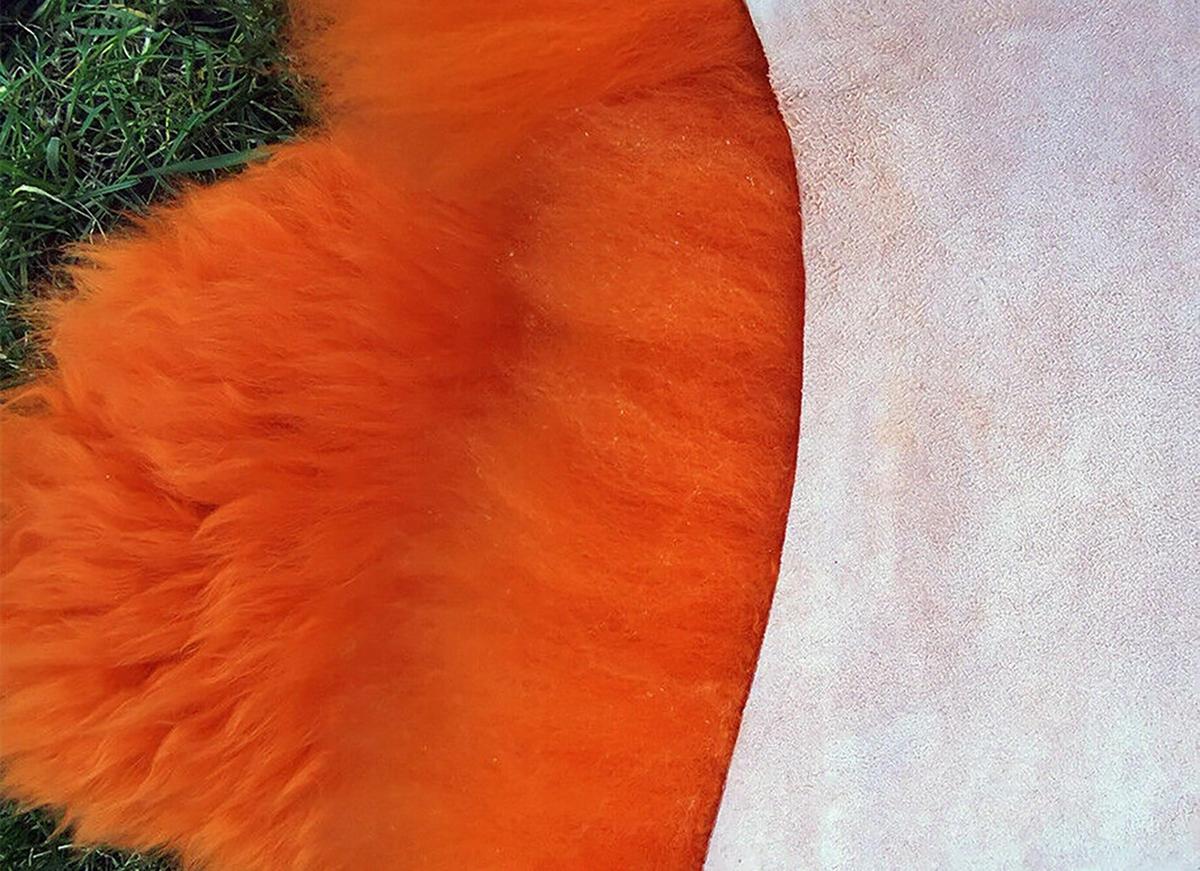 LAMMFELL Öko bunt gefärbt weich Fell Teppich Orange ca. 110 cm - Orange, Fell (60/110cm) - Provellus