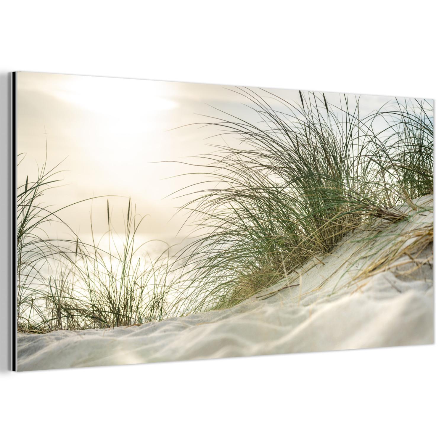 METALLBILD Dünen mit Strandhafer in der Sonne des Nationalparks Schleswig-Holsteinisches Wattenmeer 80x40 cm - Creme, Metall (80/40cm) - MuchoWow
