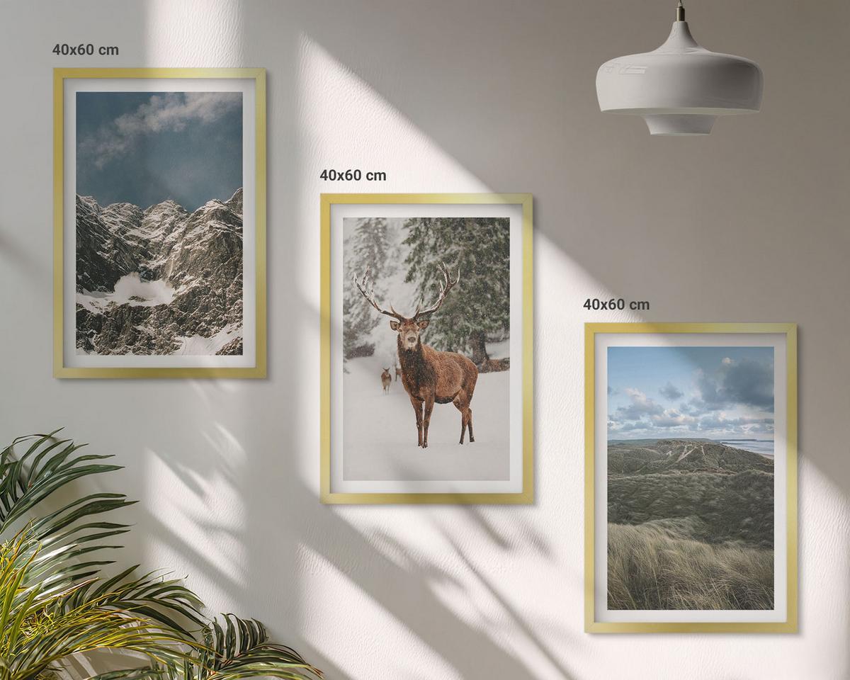BILDER SET 3er Set - 40x60 cm Goldrahmen - Berge, Schnee, Hirsche, Waldlandschaft - Goldfarben, Kunststoff (40/60cm) - TULUP