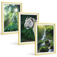 BILDER SET 3er Set - 40x60 cm Goldrahmen - Dschungeltigerwasserfall - Goldfarben, Kunststoff (40/60cm) - TULUP