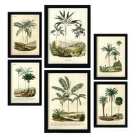 POSTER Set Mit 6 Palmen In Vintage A3 & A4 Rahmenlos - Klar, Papier (29/3cm) - Nacnic