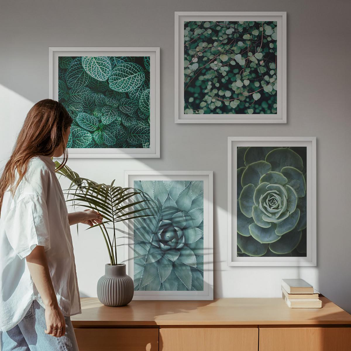 BILDER SET 4er Set - 50x50 cm & 40x60 cm Weißer Rahmen - Sukkulenten in Grün und Türkis - Weiß, Kunststoff (50/50cm) - TULUP