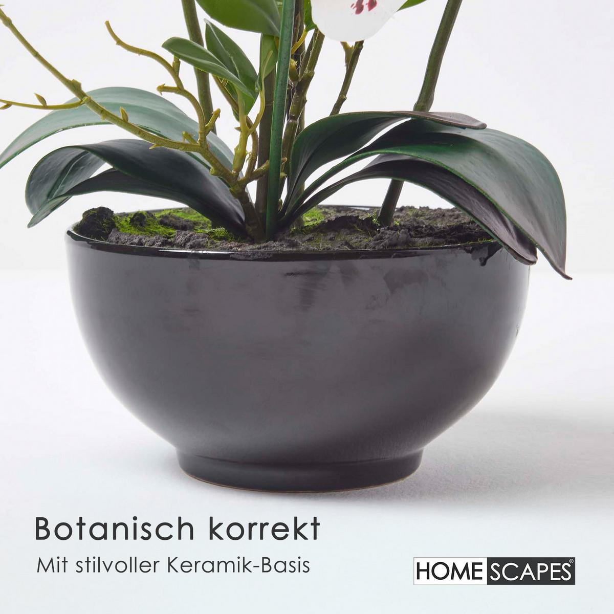 KUNSTBLUME Orchidee weiß-pink in Deko-Schale, 62 cm - Weiß, Kunststoff (62cm) - Homescapes