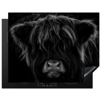 HERDABDECKPLATTE Schottischer Highlander - Kuh - Schwarz - Weiß - Tiere Induktionsmatte 77x59 cm - Schwarz, Kunststoff (77/59/0.2cm) - MuchoWow
