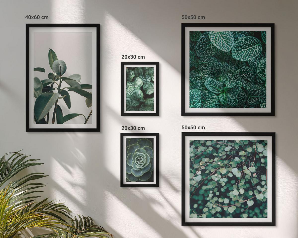 BILDER SET 5er Set - 50x50 cm & 20x30 cm & 40x60 cm Schwarzer Rahmen - Grüne Wälder, kristallklares Wasser - Schwarz, Kunststoff (40/60cm) - TULUP
