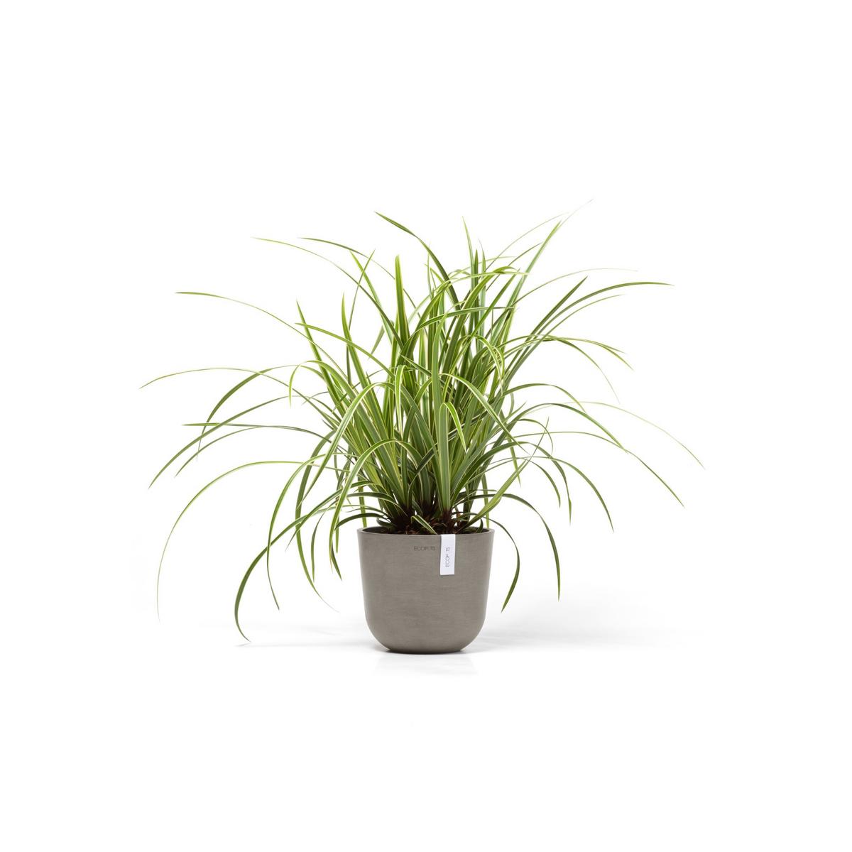 BLUMENTOPF Oslo Mini 19/16,5 cm Taupe - Taupe, Kunststoff (19/16.5cm) - Ecopots