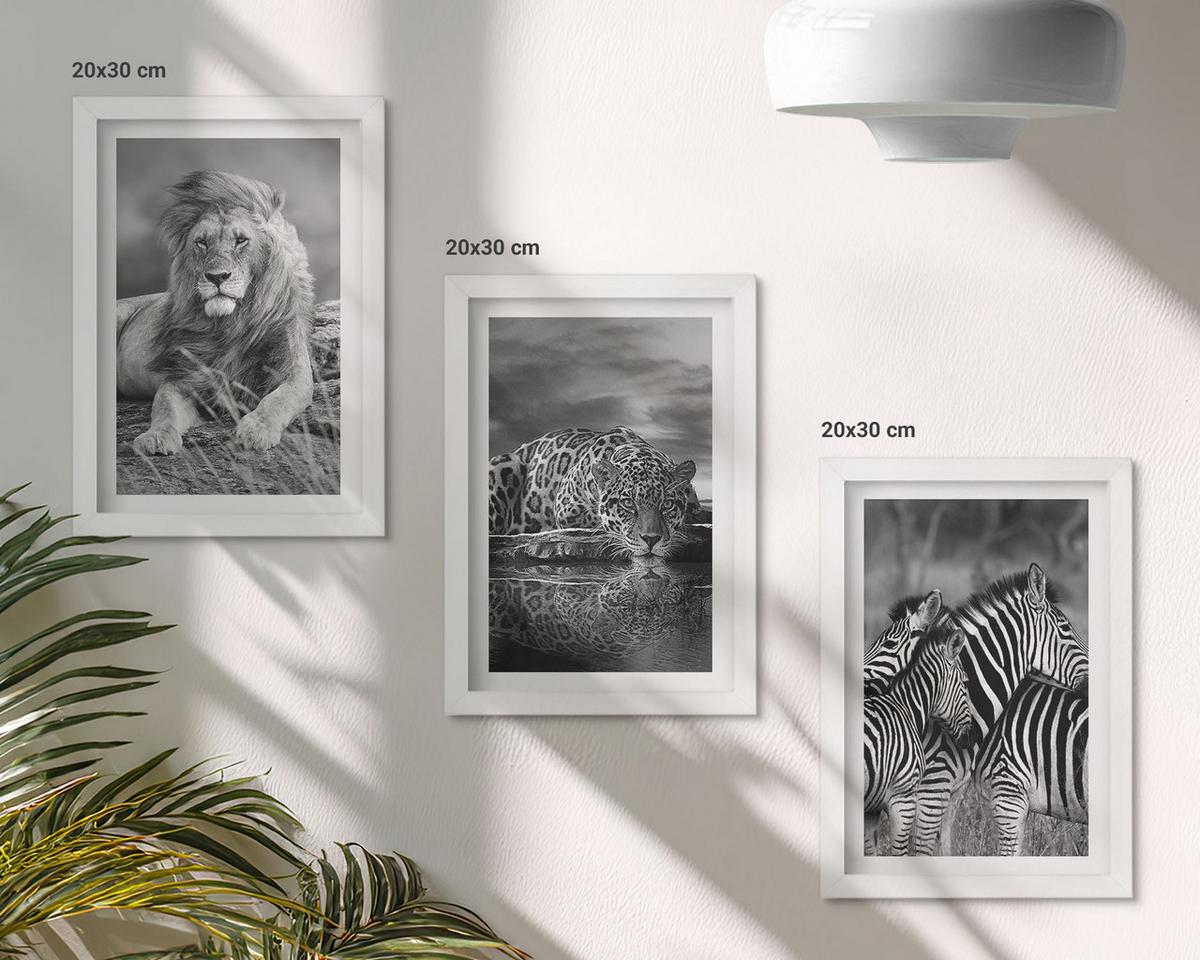 BILDER SET 3er Set - 20x30 cm Weißer Rahmen - Wildtiere der Savanne - Weiß, Kunststoff (20/30cm) - TULUP