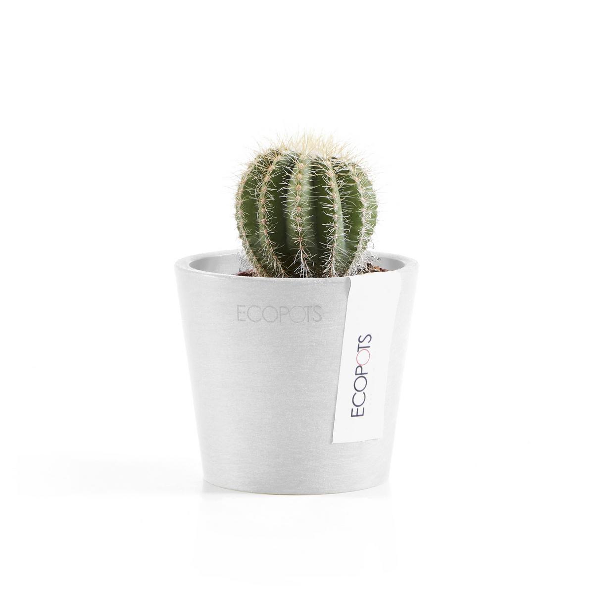 BLUMENTOPF Amsterdam46211cm Weiß - Weiß, Kunststoff (8/7cm) - Ecopots