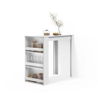 BARTISCH Regusa Weiß 57 x 117 cm - Weiß, Holzwerkstoff (117/57/106cm) - Livinity®