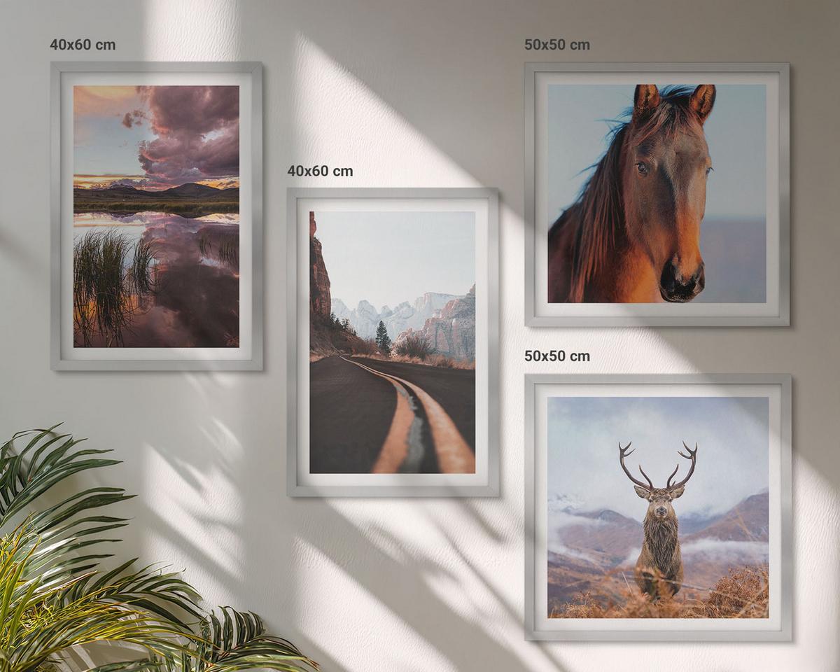 BILDER SET 4er Set - 50x50 cm & 40x60 cm Silberner Rahmen - Berglandschaften, Rentiere, Pferdestraße - Silberfarben, Kunststoff (50/50cm) - TULUP