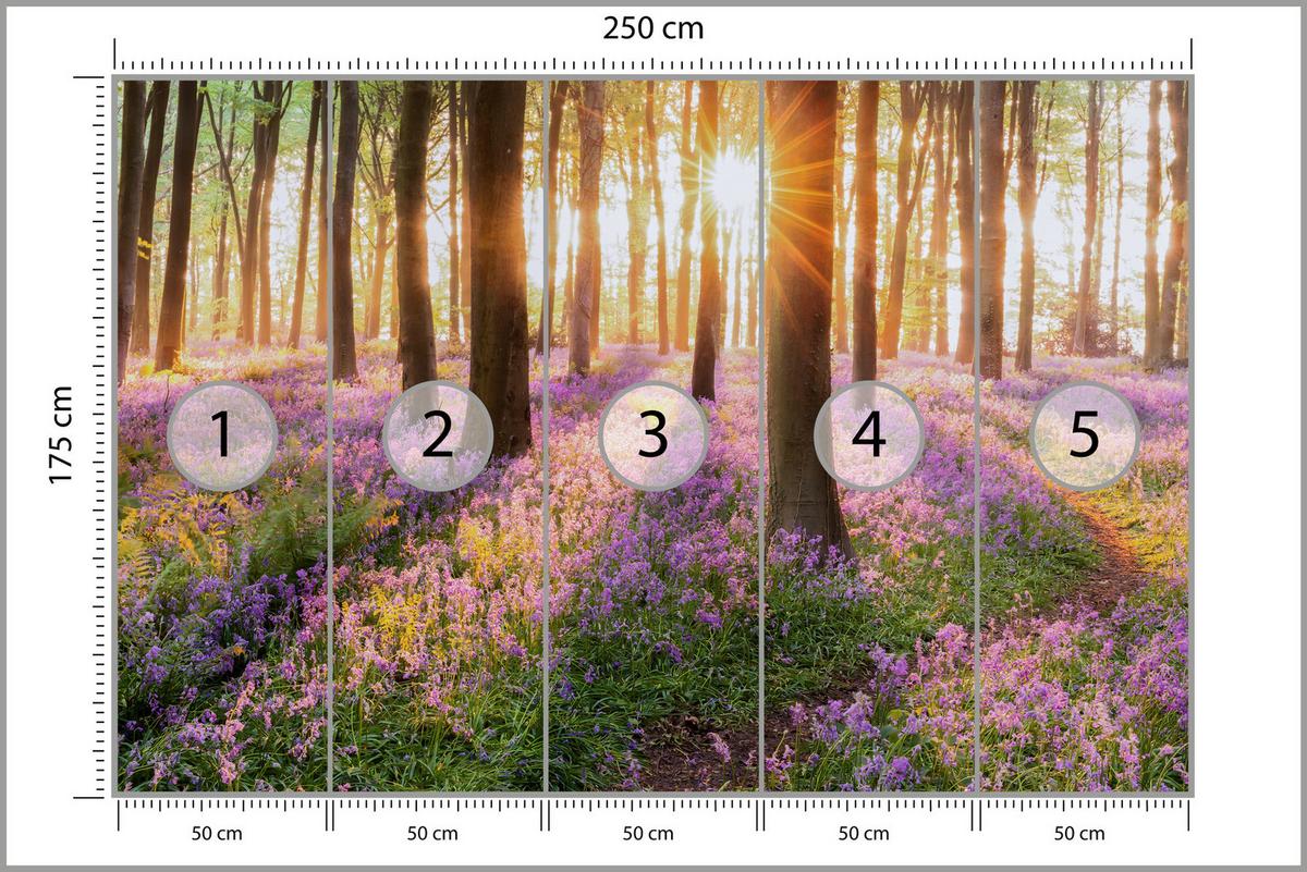 FOTOTAPETE Wald Blumen Sonnenaufgang Landschaft 3D 250x175 - Gelb/Beige, Papier (250/175cm) - Muralo