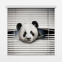 INNENROLLO - Fensterrollo - Rollo - 70x140 cm - Panda - Grau, Kunststoff (70/140/0.5cm) - TULUP