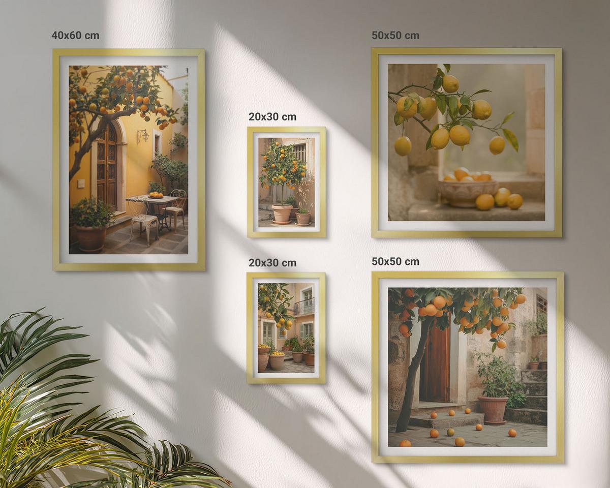 BILDER SET 5er Set - 50x50 cm & 20x30 cm & 40x60 cm Goldrahmen - Terrasse mit Zitrusbäumen - Goldfarben, Kunststoff (40/60cm) - TULUP