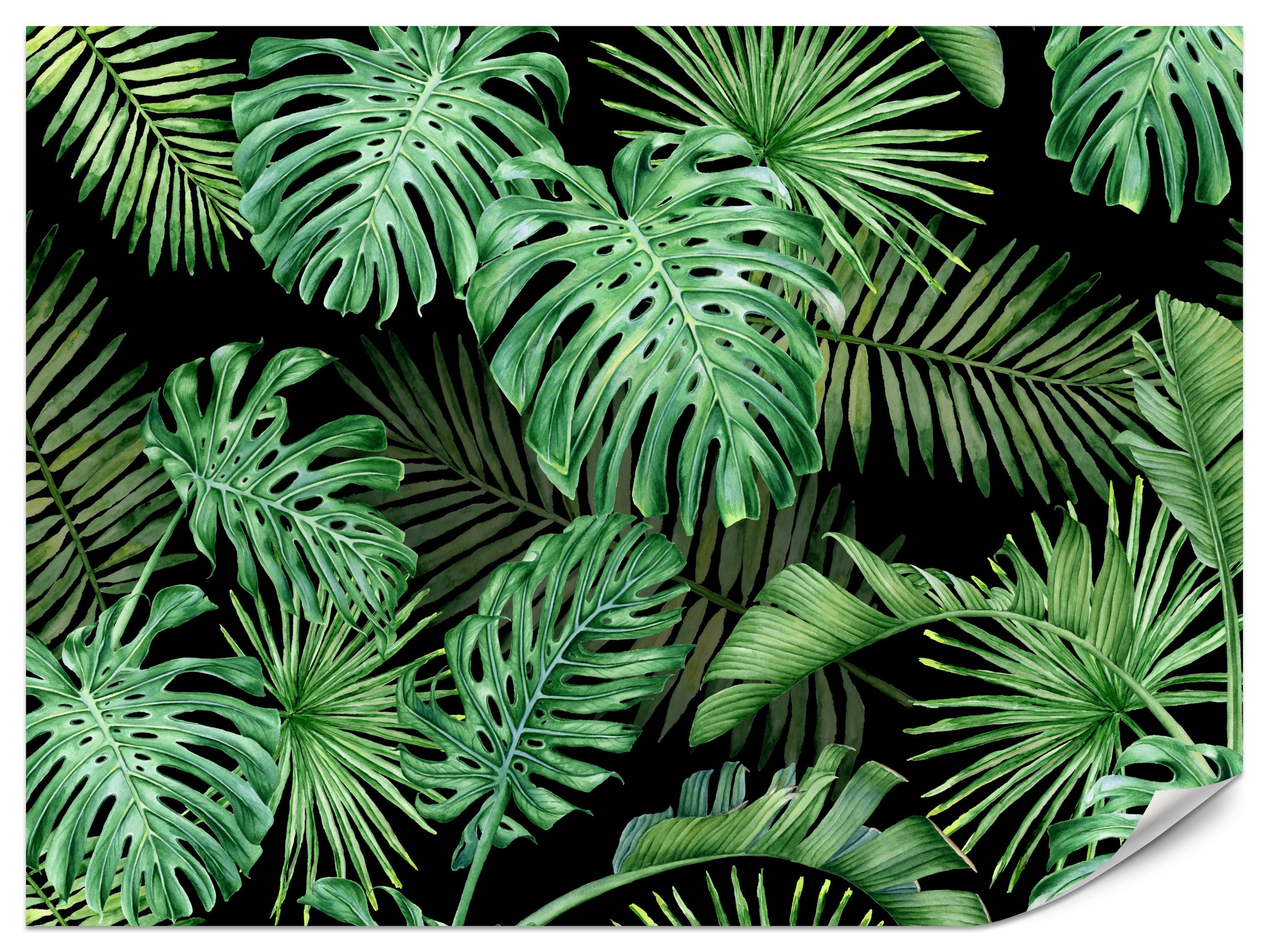 FOTOTAPETE für Schlafzimmer Exotische Grüne Monstera Palmen 400x280 - Schwarz/Grün, Papier (400/280cm) - Muralo