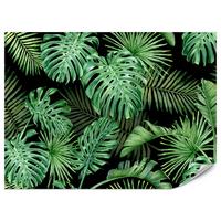 FOTOTAPETE für Schlafzimmer Exotische Grüne Monstera Palmen 400x280 - Schwarz/Grün, Papier (400/280cm) - Muralo